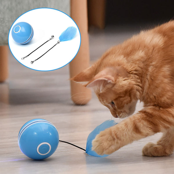 Colorful Led Cat Ball - Much More Discount