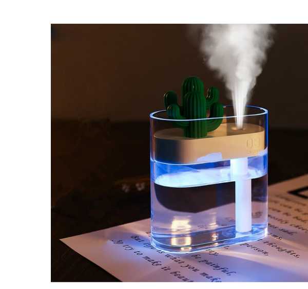Cactus Air Humidifier - Much More Discount